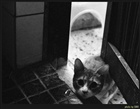 dailyPhoto9